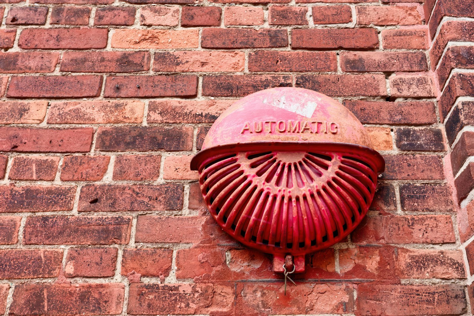 Audits & Inspections