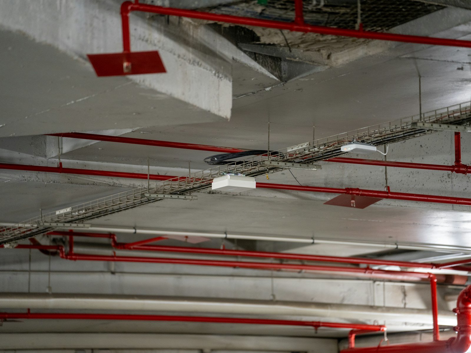 Fire sprinkler piping installed in a building ceiling